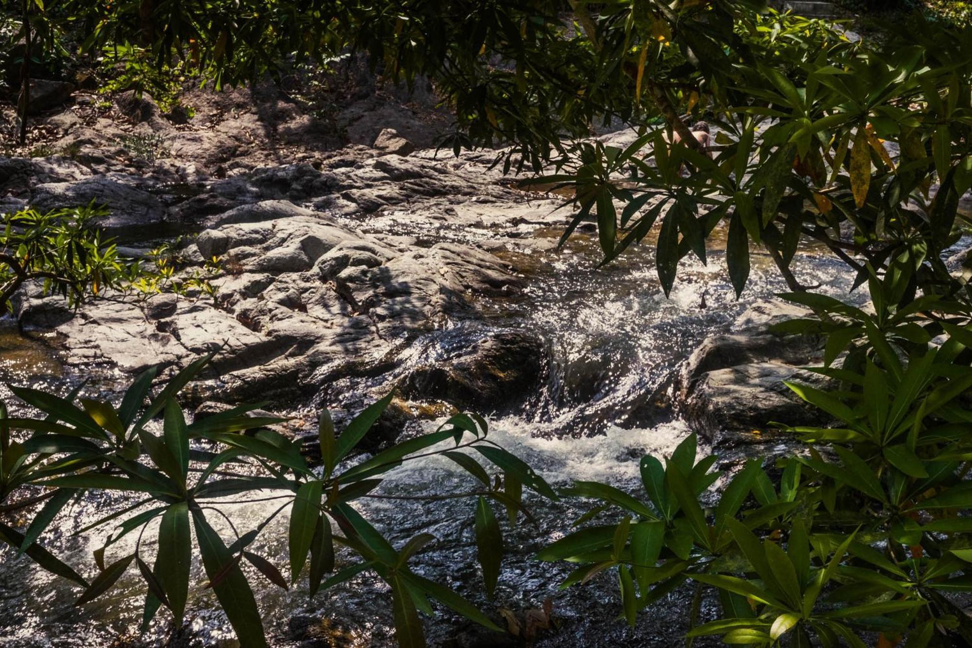 Oasis Forest Garden Ban Takuk Nua Exterior foto